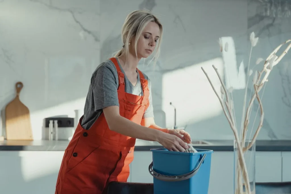 cleaning 4